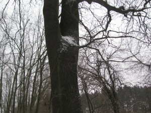 Péťa